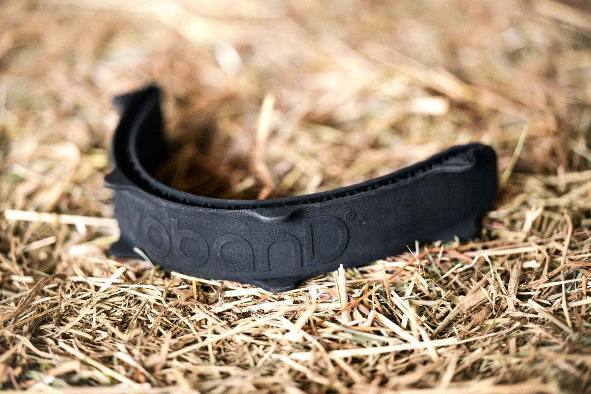 R3vobanD front noseband protector