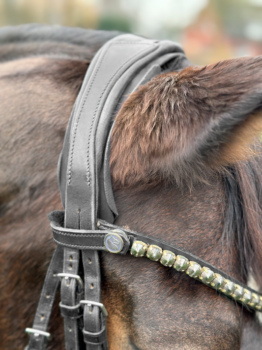 R3vobanD protector testera