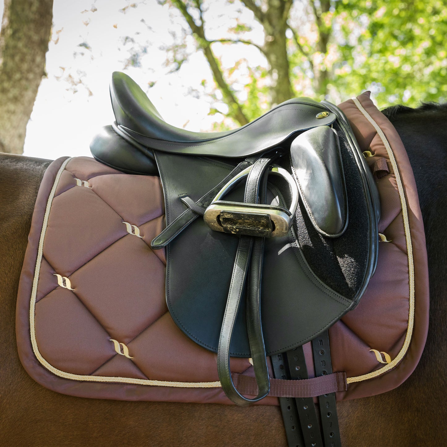 Sweatshirt "Nights Collection" dressage Coffee Back on Track