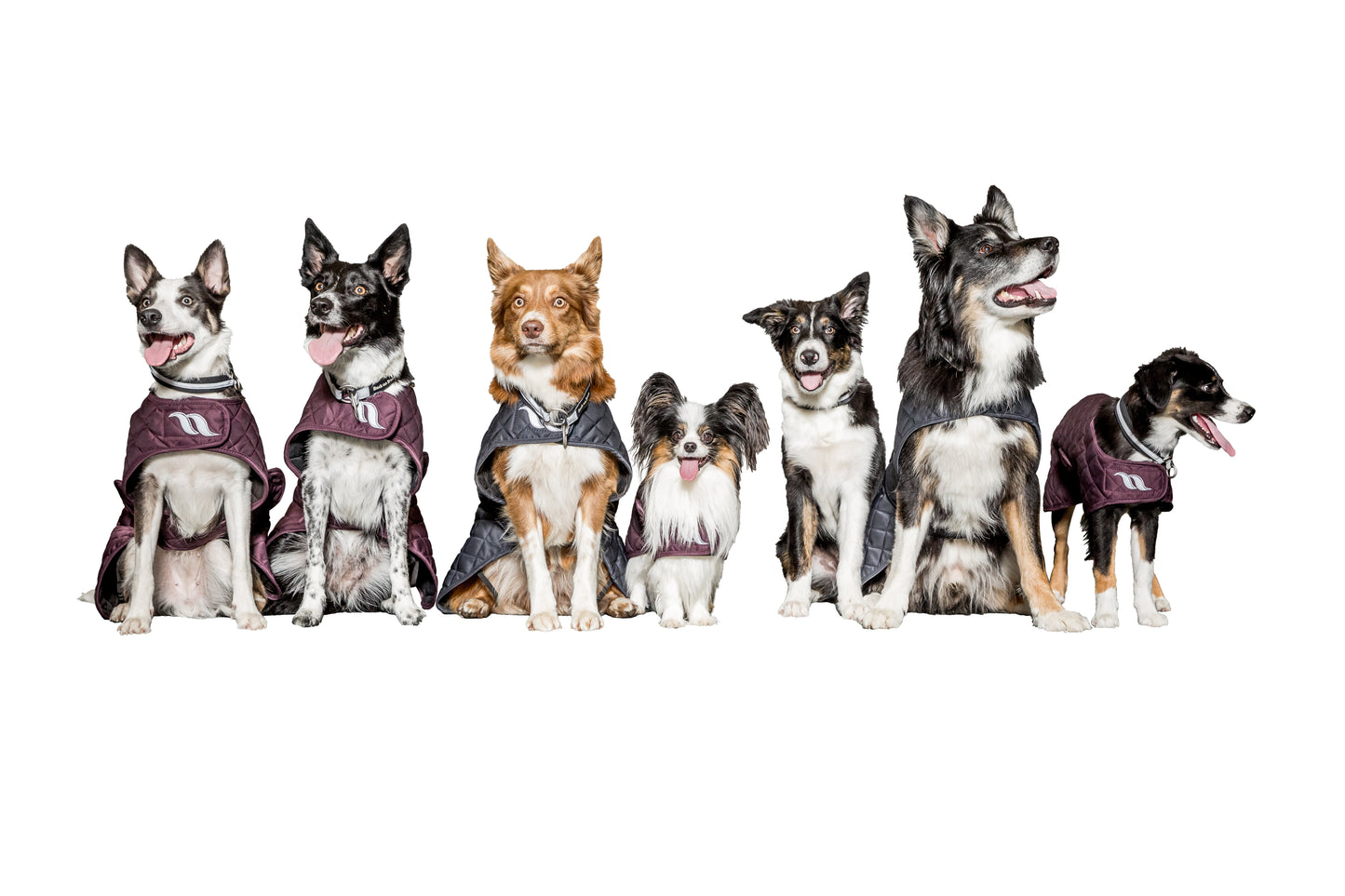 Dog coat "Nights Collection" Back on Track