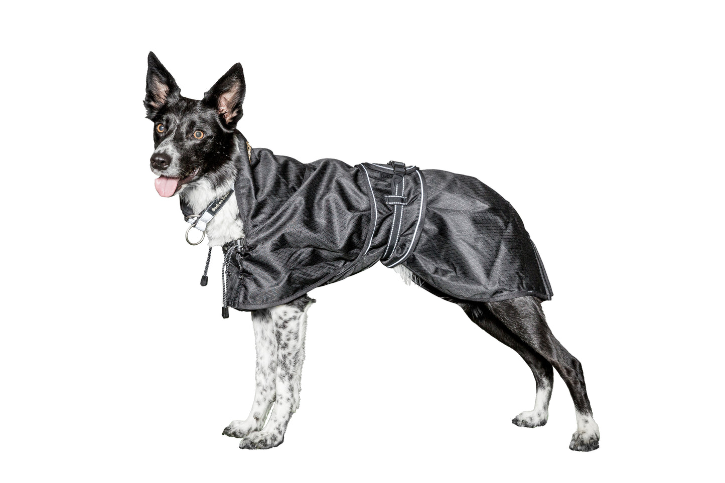 Back on Track Unpadded Waterproof Coat