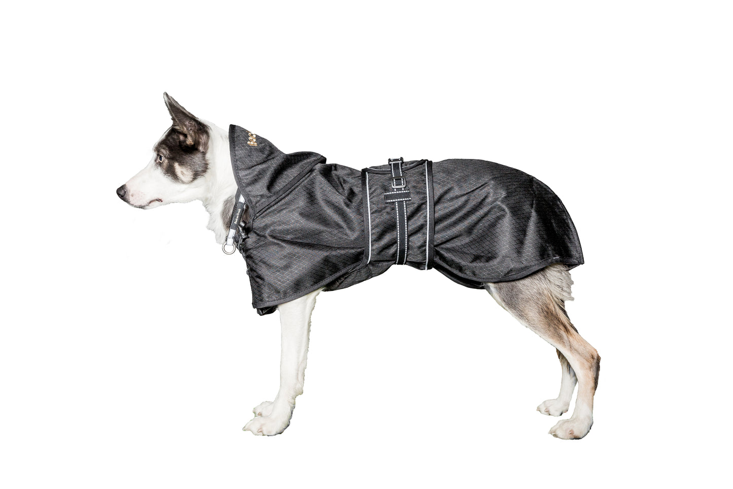 Back on Track Unpadded Waterproof Coat