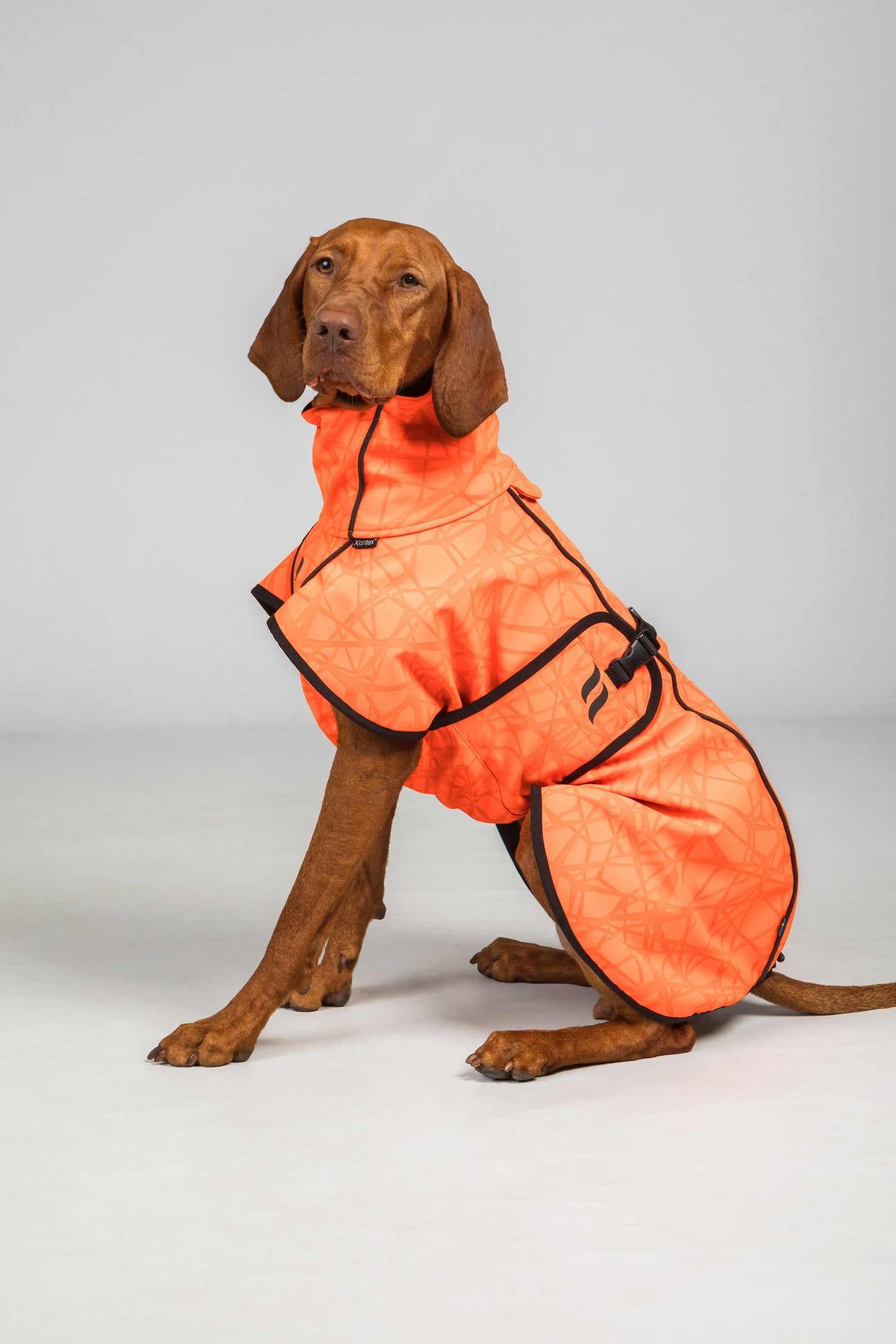 Bark Coat "All-Round" Dog Back on Track - Orange