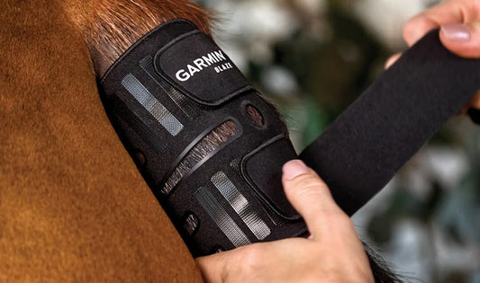Garmin Blaze | Sensor de Monitorización para el Bienestar del Caballo