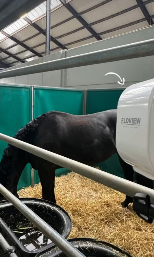Vigila a tu caballo desde cualquier lugar Conjunto Floview Tournament – Cámara portátil y sin cables