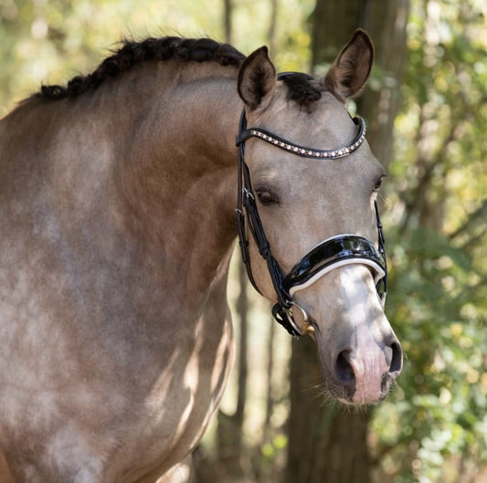 Por qué elegir una cabezada personalizada para tu caballo?