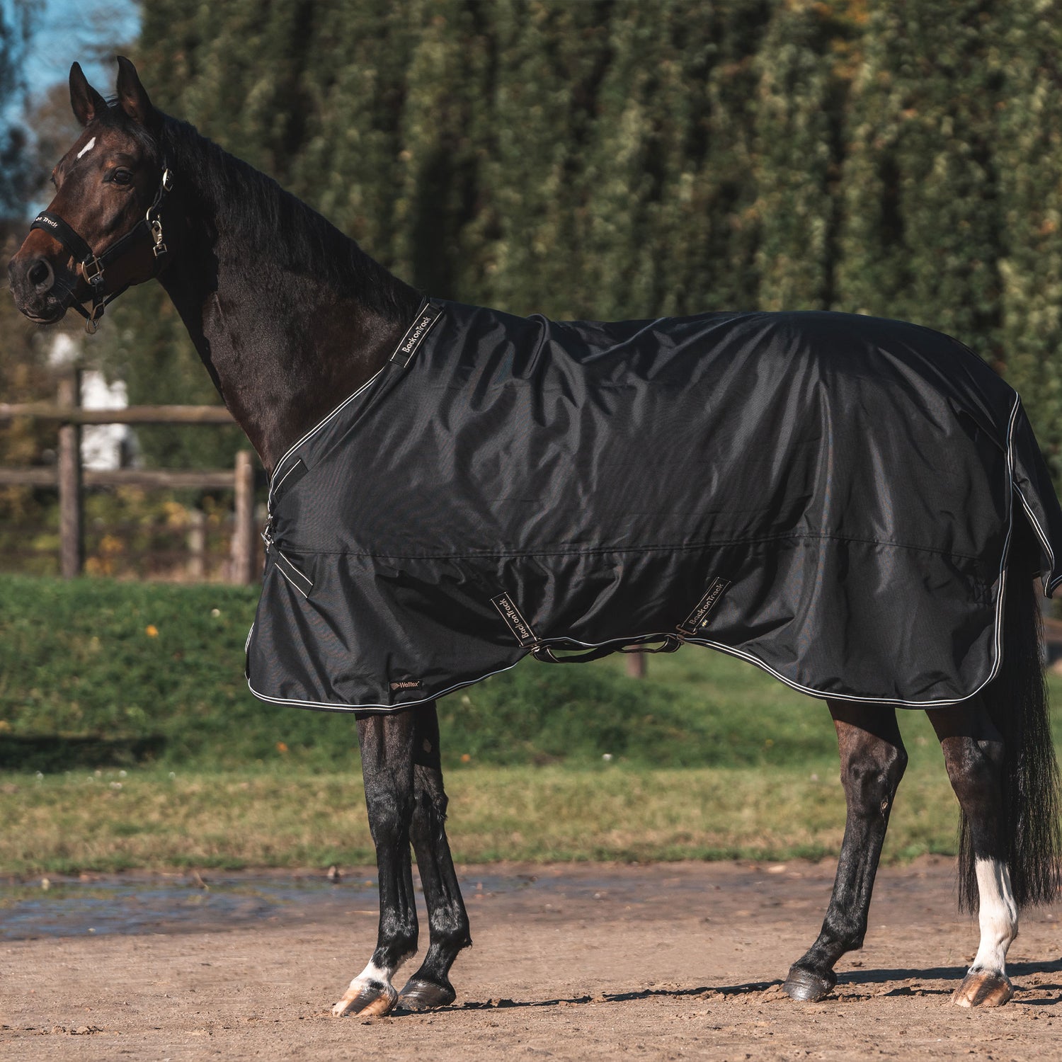 Para el caballo
