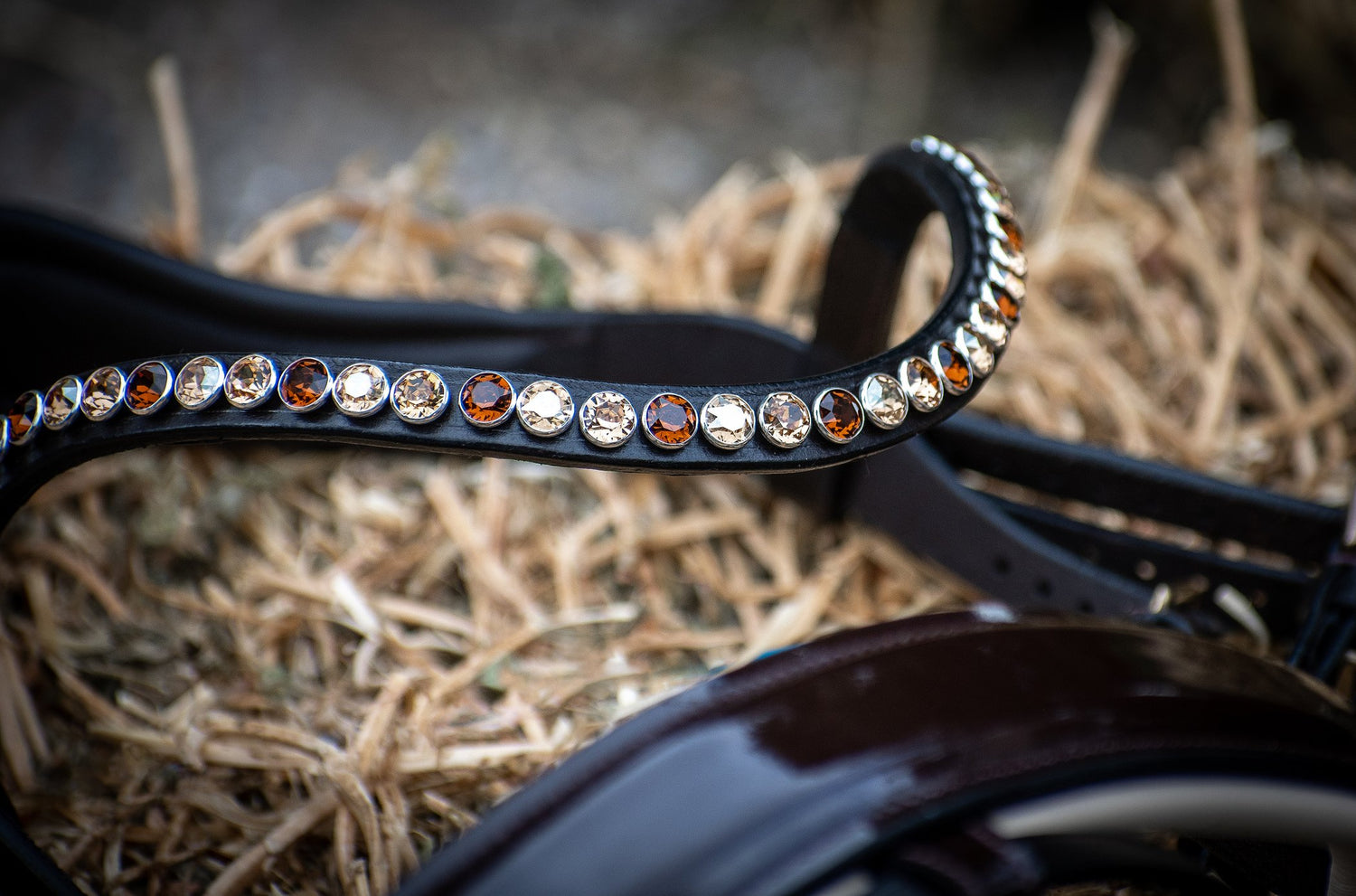 Bridas &  Accesorios