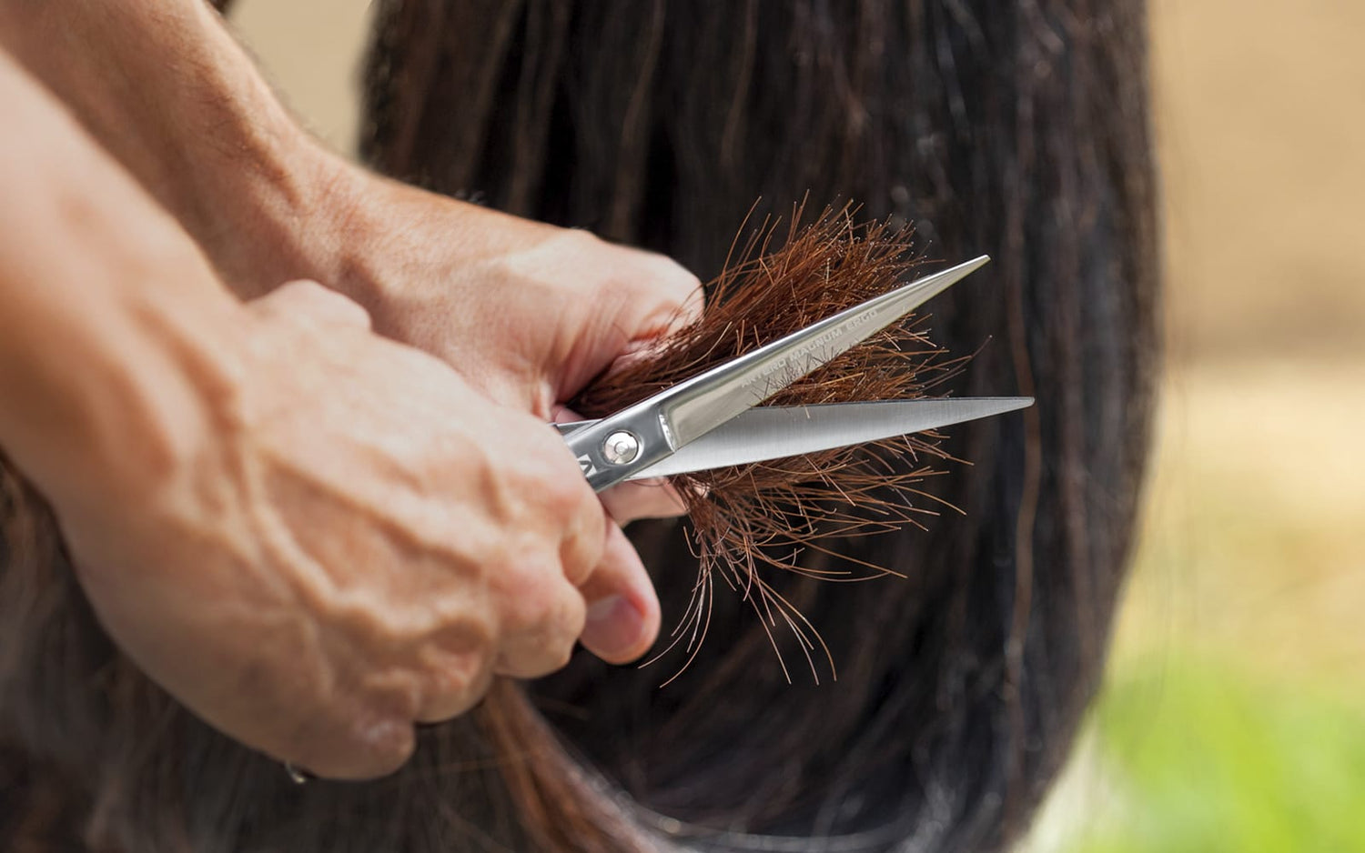Artero Equine Tijeras