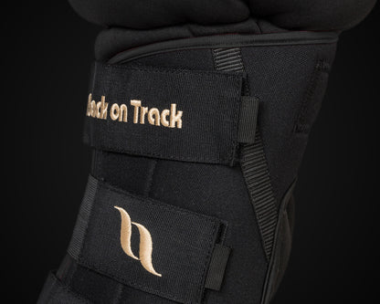 Protector corvejón Royal DeLuxe  Back on Track