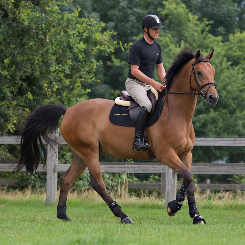 Royal protector trabajo delantera Back on Track