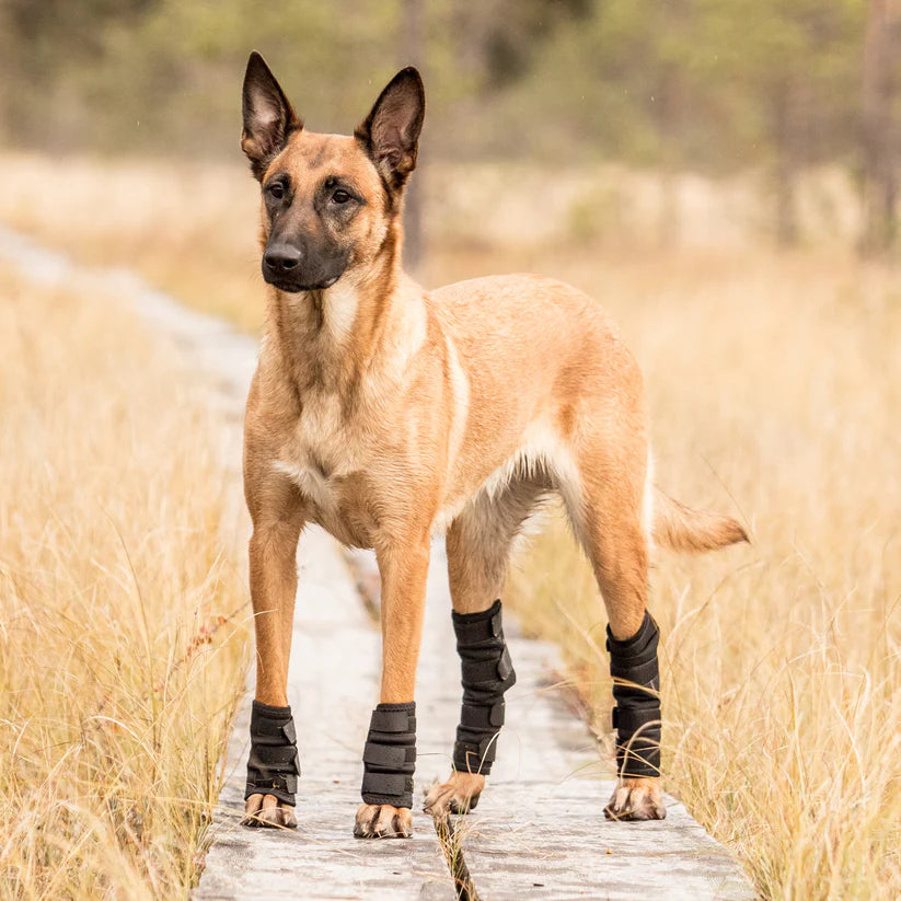 Back on Track® Protectores de tarso con Welltex® para perro