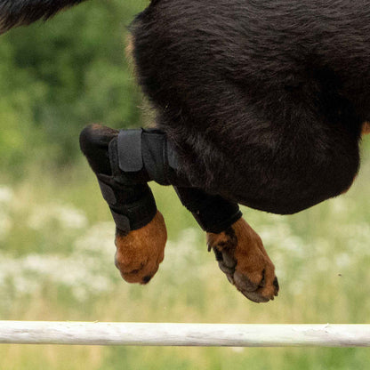 Back on Track® Protectores de tarso con Welltex® para perro