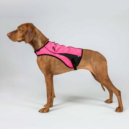 POINT Chaleco de Visibilidad Iontex® para Perros Back on Track