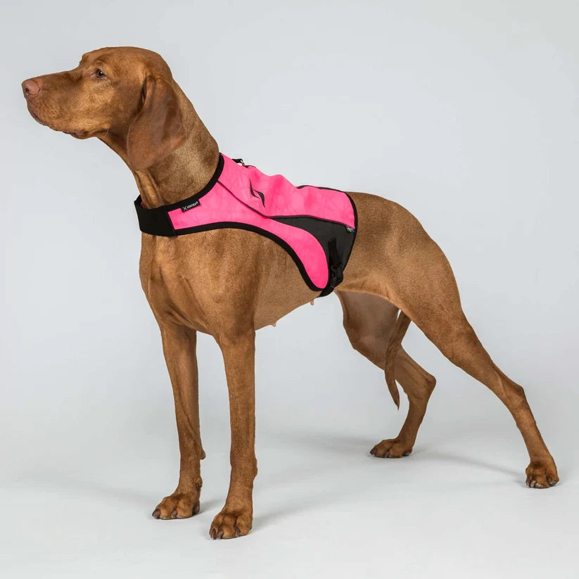 POINT Chaleco de Visibilidad Iontex® para Perros Back on Track