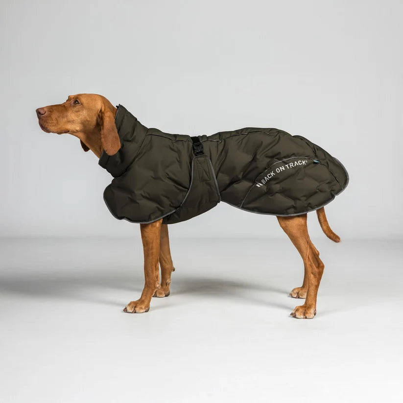 BAY Abrigo Térmico para Perros Back on Track - Cola de Inserción Baja