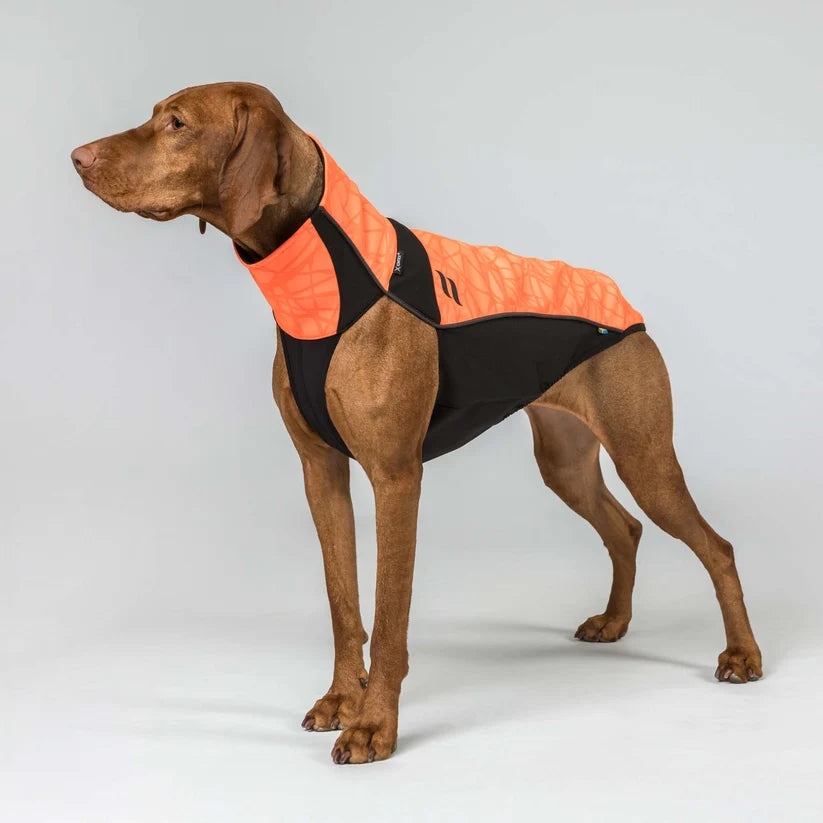 BARK Jersey Softshell de Alta Visibilidad para Perros con Iontex® y Cordura®