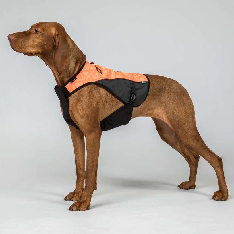 TRAKK 2.0 Chaleco Protector para Perros Back on Track Cordura® e Iontex®