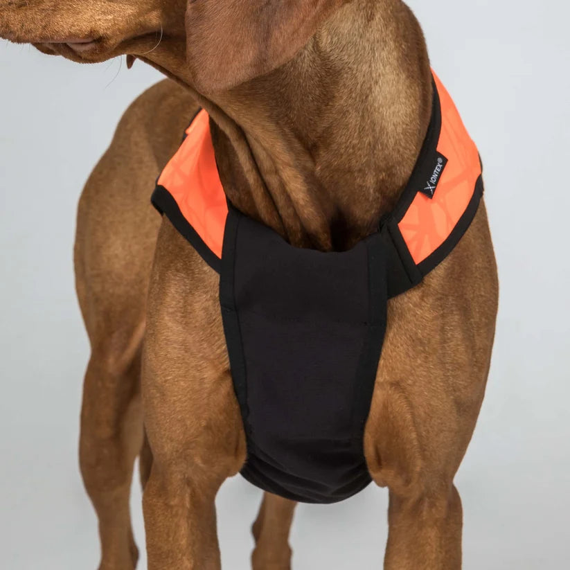 TRAKK 2.0 Chaleco Protector para Perros Back on Track Cordura® e Iontex®
