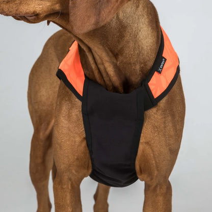 TRAKK 2.0 Chaleco Protector para Perros Back on Track Cordura® e Iontex®
