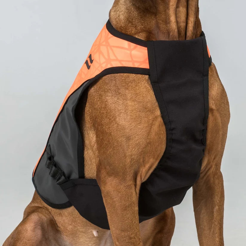 TRAKK 2.0 Chaleco Protector para Perros Back on Track Cordura® e Iontex®