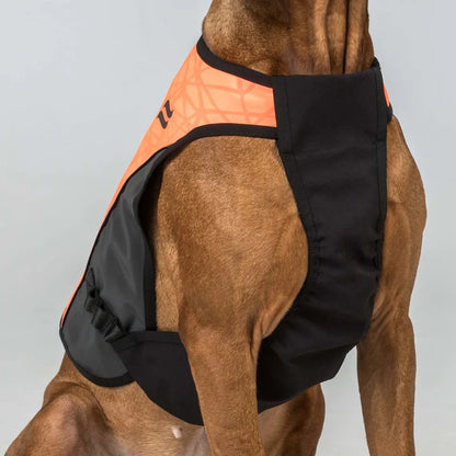 TRAKK 2.0 Chaleco Protector para Perros Back on Track Cordura® e Iontex®