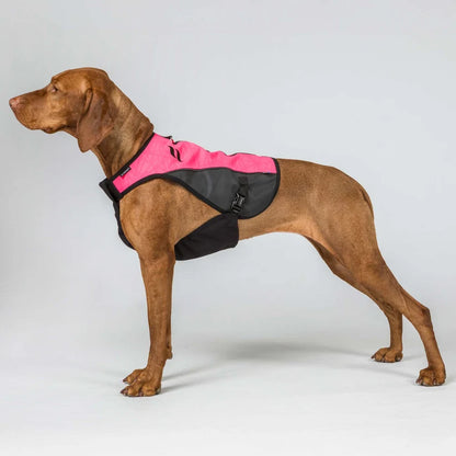 TRAKK 2.0 Chaleco Protector para Perros Back on Track Cordura® e Iontex®