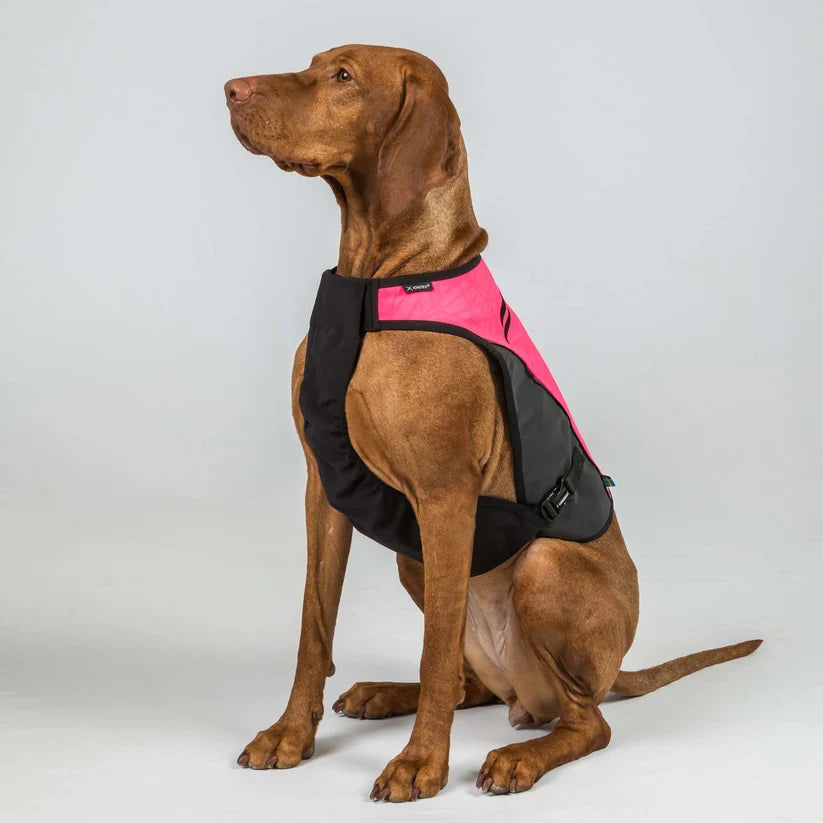 TRAKK 2.0 Chaleco Protector para Perros Back on Track Cordura® e Iontex®
