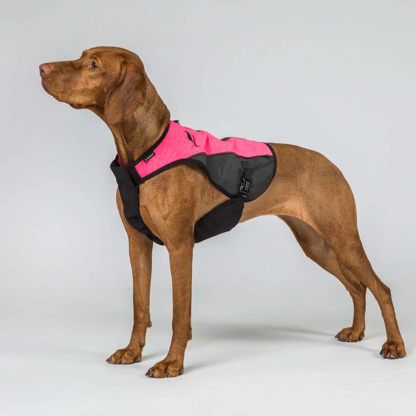 TRAKK 2.0 Chaleco Protector para Perros Back on Track Cordura® e Iontex®