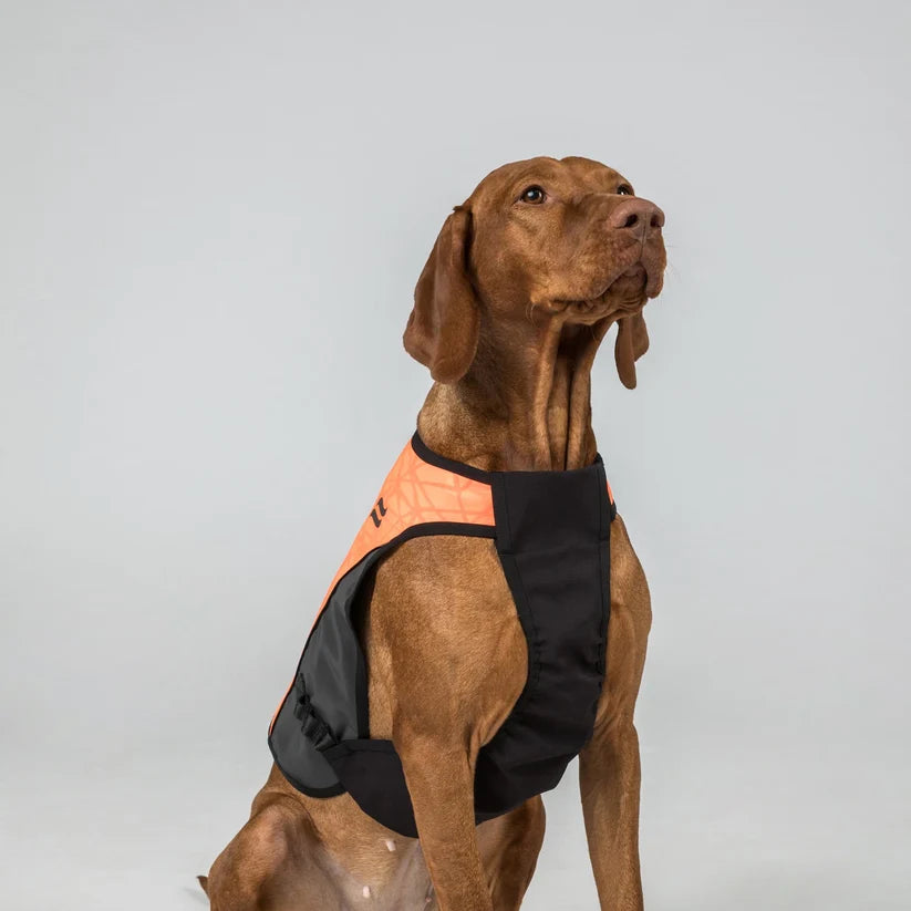 Pechera de Recambio TRAKK 2.0 Cordura® Back on Track