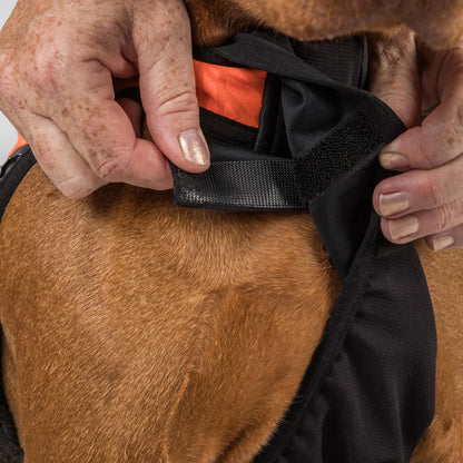Pechera de Recambio TRAKK 2.0 Cordura® Back on Track