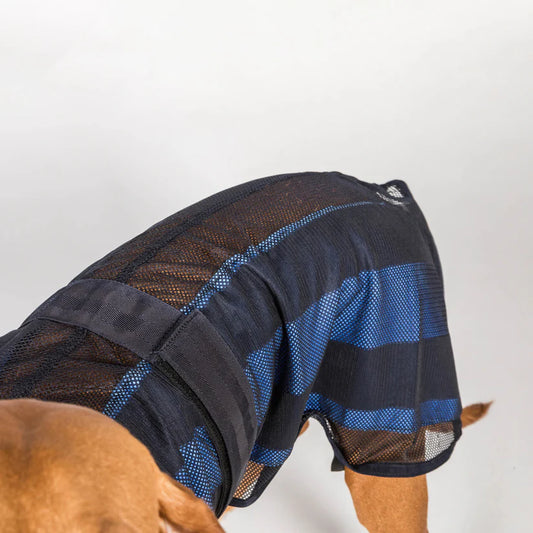 Cool on Track® 2.0 Abrigo refrigerante para perro