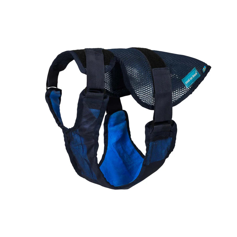 Arnés Refrigerante Cool on Track® para Perros