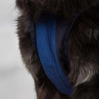 Arnés Refrigerante Cool on Track® para Perros