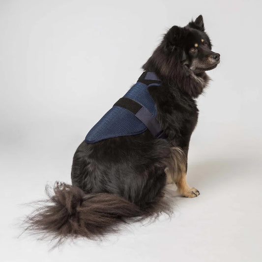 Arnés Refrigerante Cool on Track® para Perros