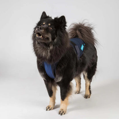 Arnés Refrigerante Cool on Track® para Perros