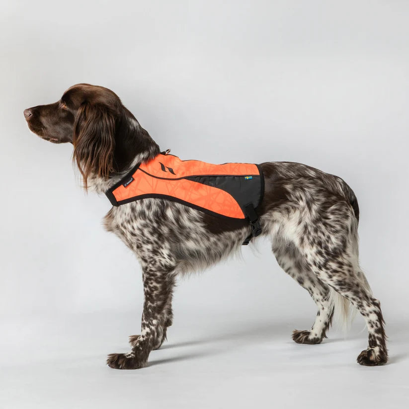 POINT Chaleco de Visibilidad Iontex® para Perros Back on Track