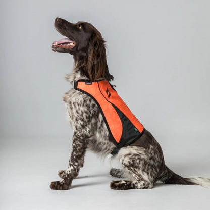 POINT Chaleco de Visibilidad Iontex® para Perros Back on Track