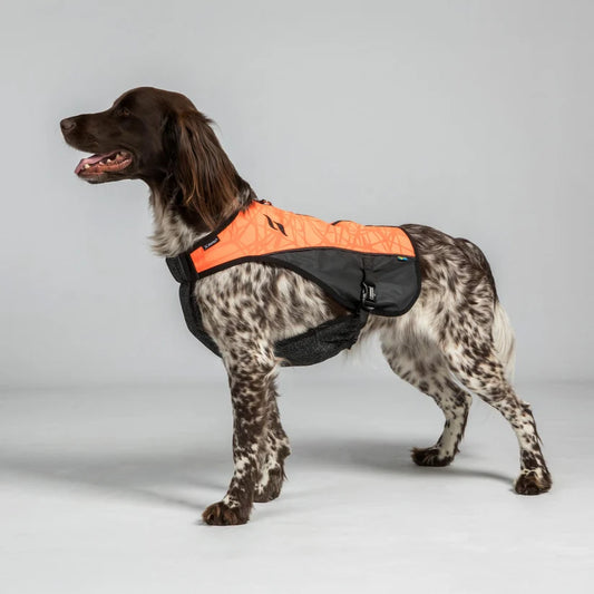 TRAKK Chaleco Protector Iontex® y Kevlar para Perros Back on Track