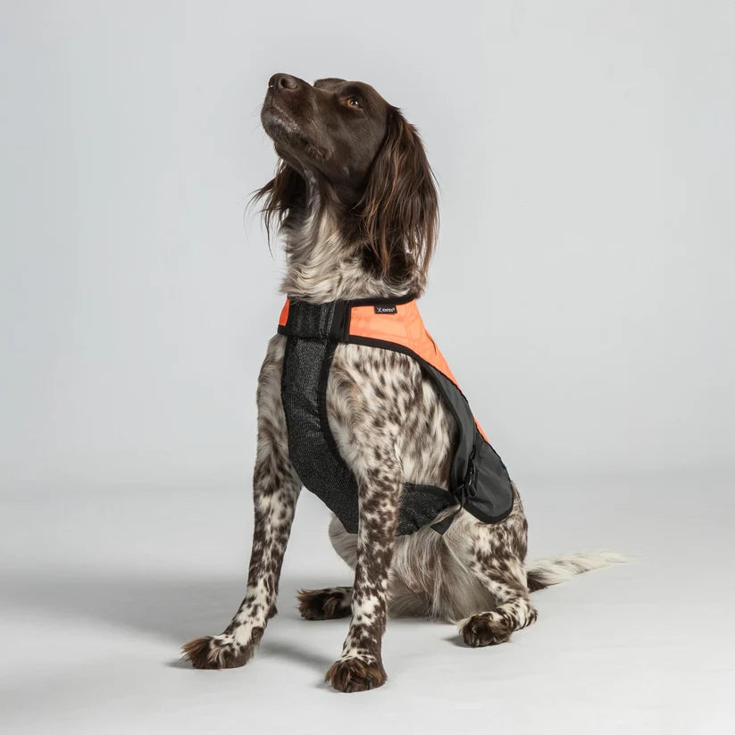 TRAKK Chaleco Protector Iontex® y Kevlar para Perros Back on Track