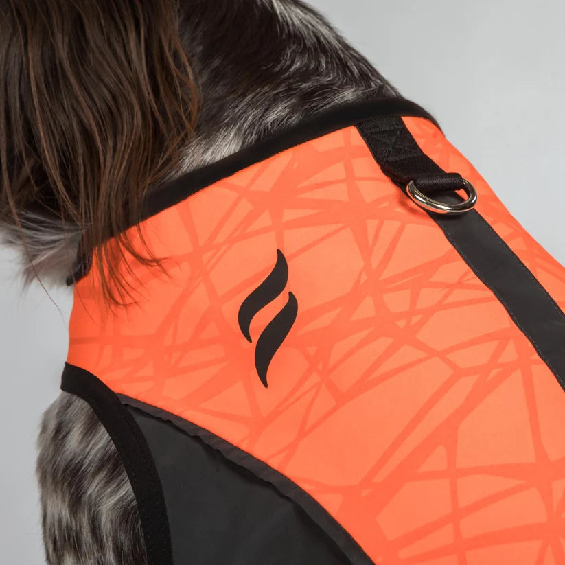 TRAKK Chaleco Protector Iontex® y Kevlar para Perros Back on Track