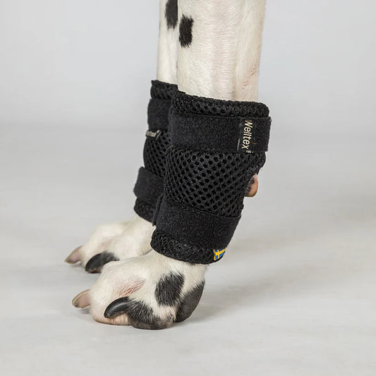 Back on Track Soporte para pata de perro Milo con Welltex®