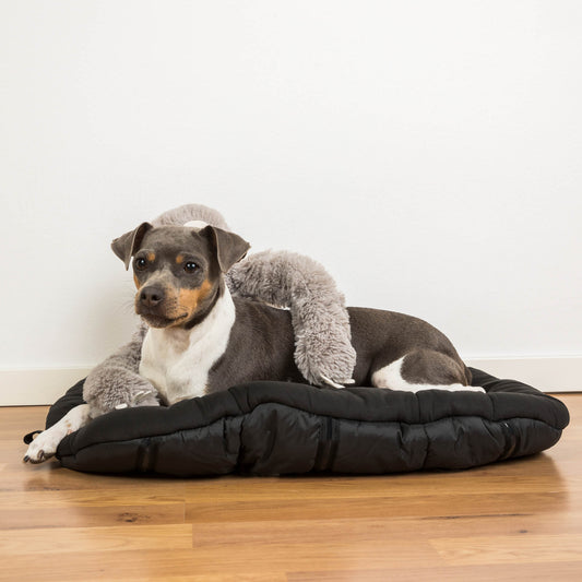 Colchon Travel para perro Back on Track