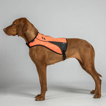 POINT Chaleco de Visibilidad Iontex® para Perros Back on Track