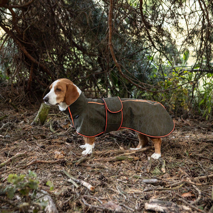 Abrigo Buddy Softshell para razas alargadas