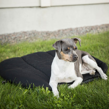 Colchon Travel para perro Back on Track