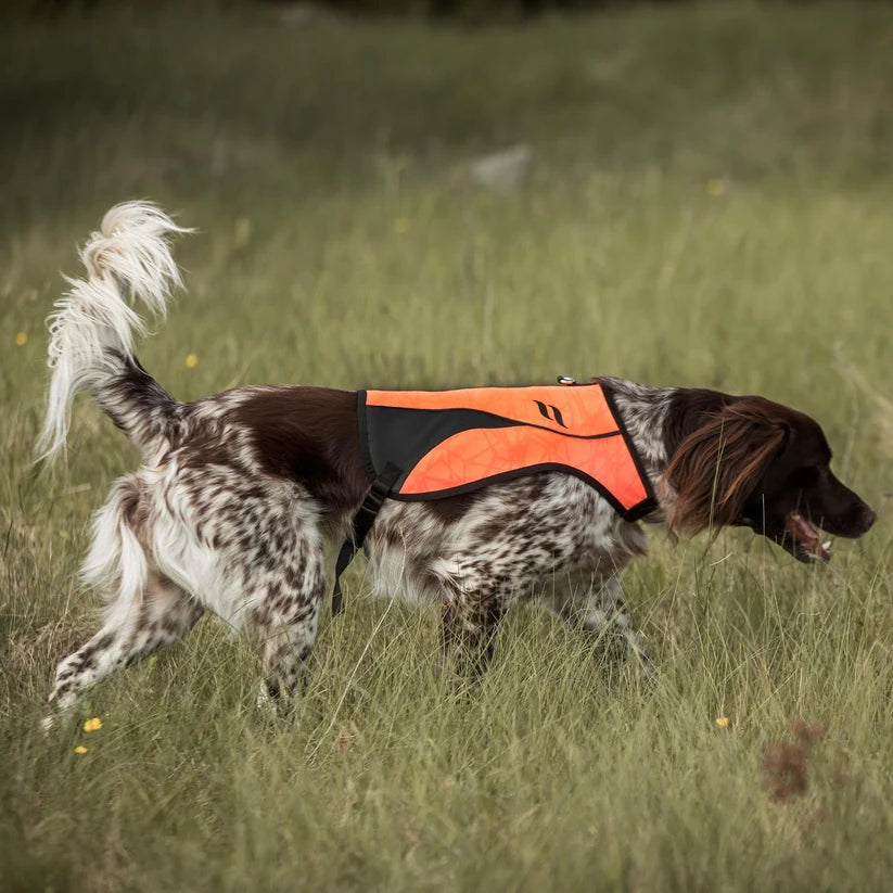 POINT Chaleco de Visibilidad Iontex® para Perros Back on Track