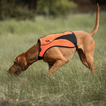 POINT Chaleco de Visibilidad Iontex® para Perros Back on Track