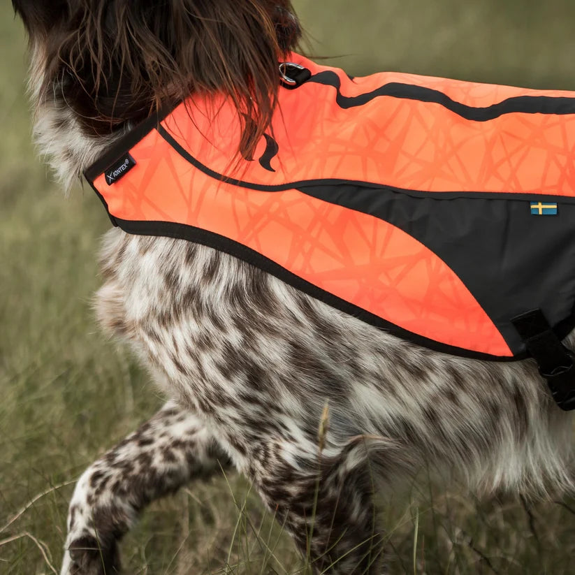 POINT Chaleco de Visibilidad Iontex® para Perros Back on Track