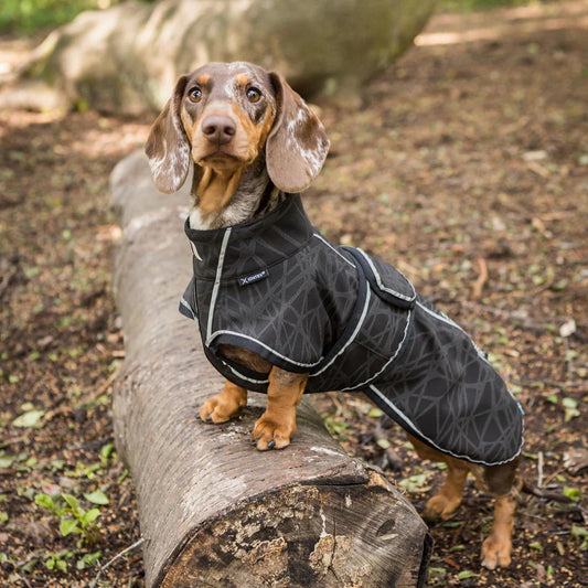 Abrigo Buddy Softshell para razas alargadas